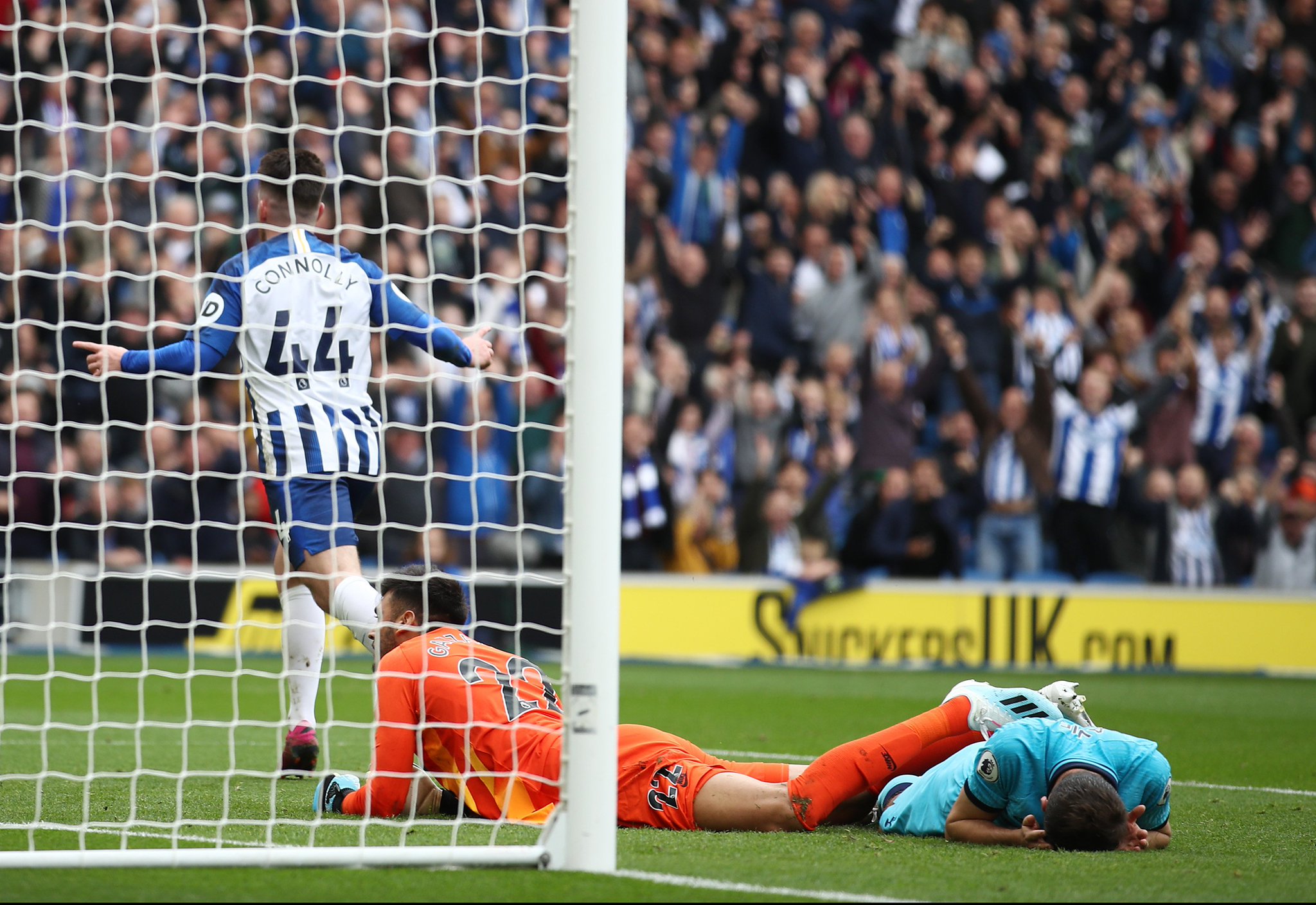 以及它们在 以及它们在