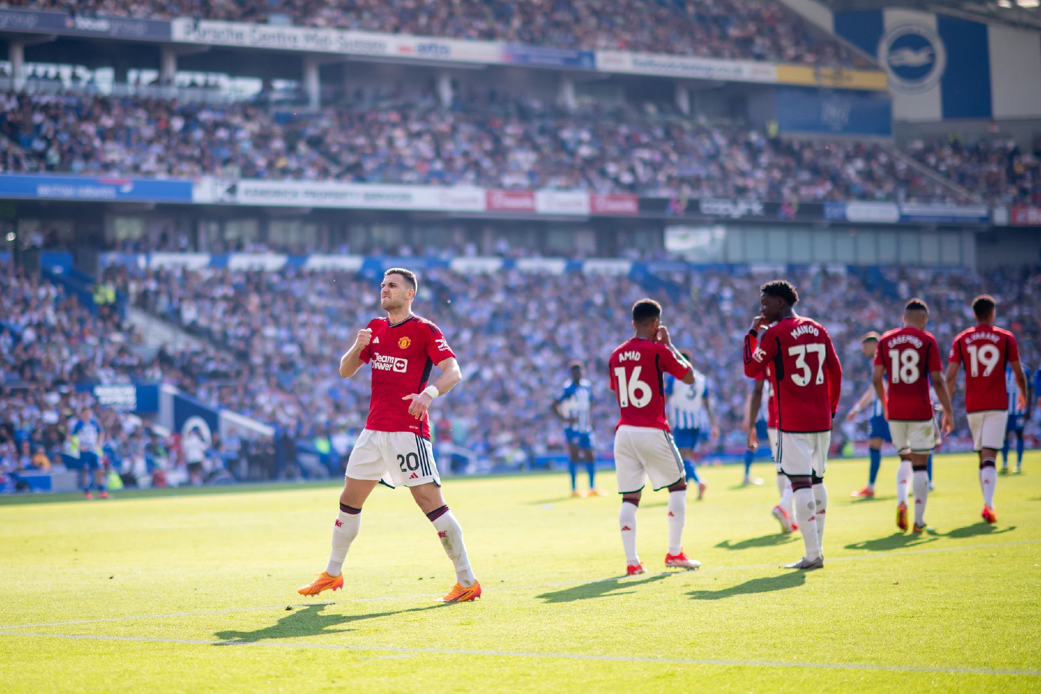 通过追求极 通过追求极